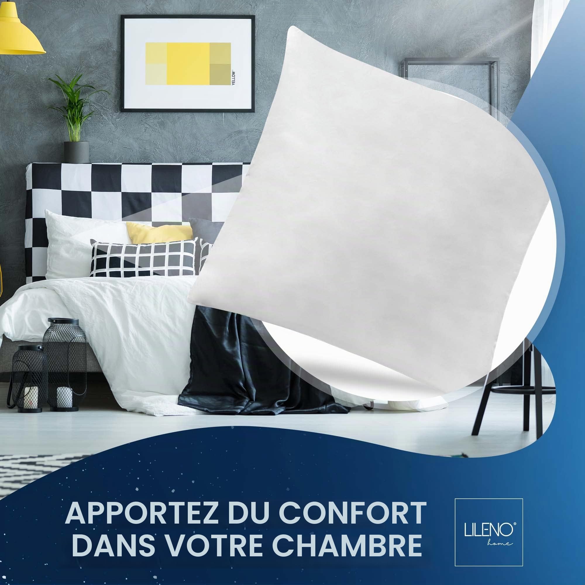 LILENO HOME Lot de 2 coussins en plumes, 40 x 40 cm, utilisables comme oreiller, coussin couchage et lit, conviennent aux personnes souffrant d'allergies enfants, à ressorts, avec rembourrage 300 g
