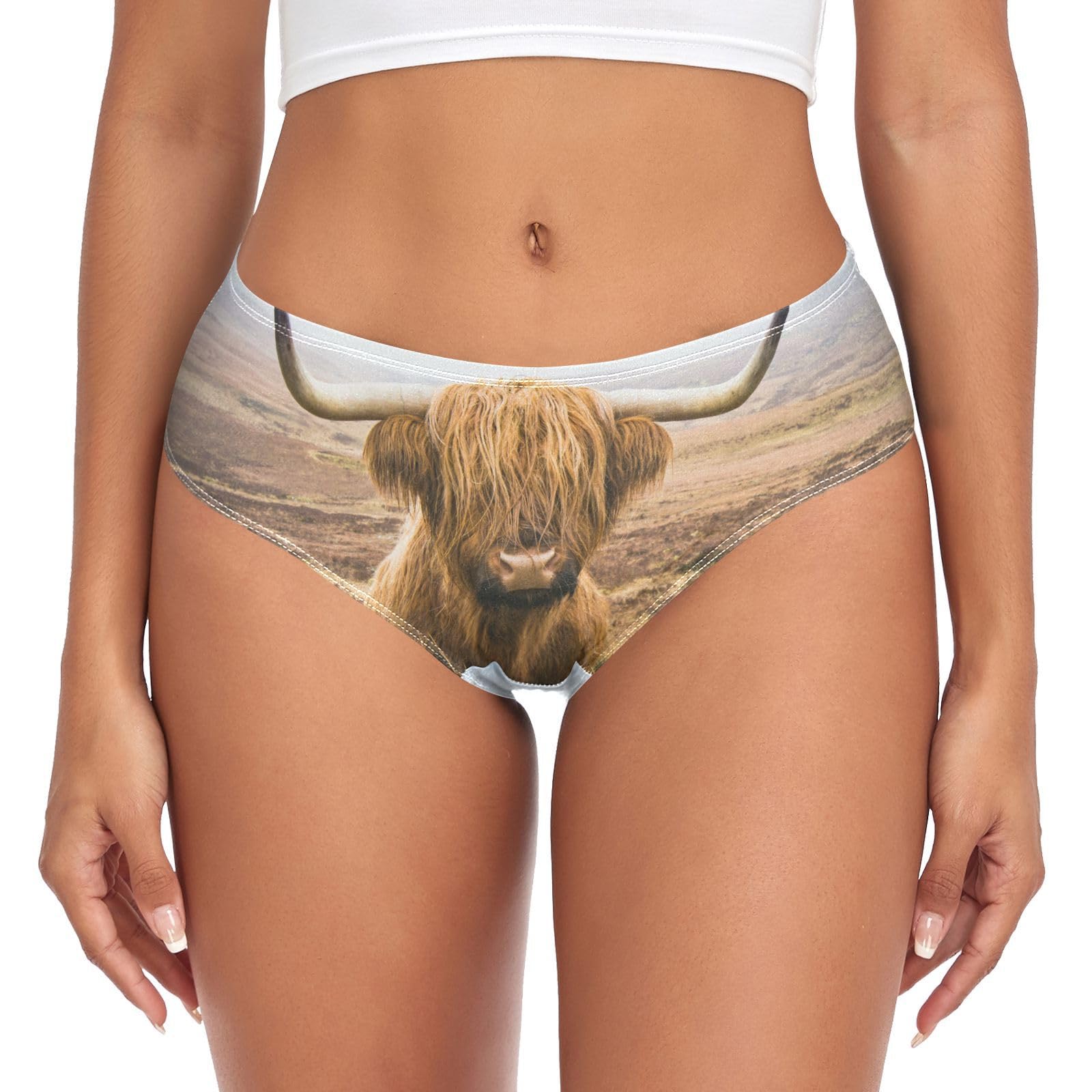 OyihfvsWomen's Underwear, Women's Soft Triangle Panties, Stretch Briefs (XS-2XL)