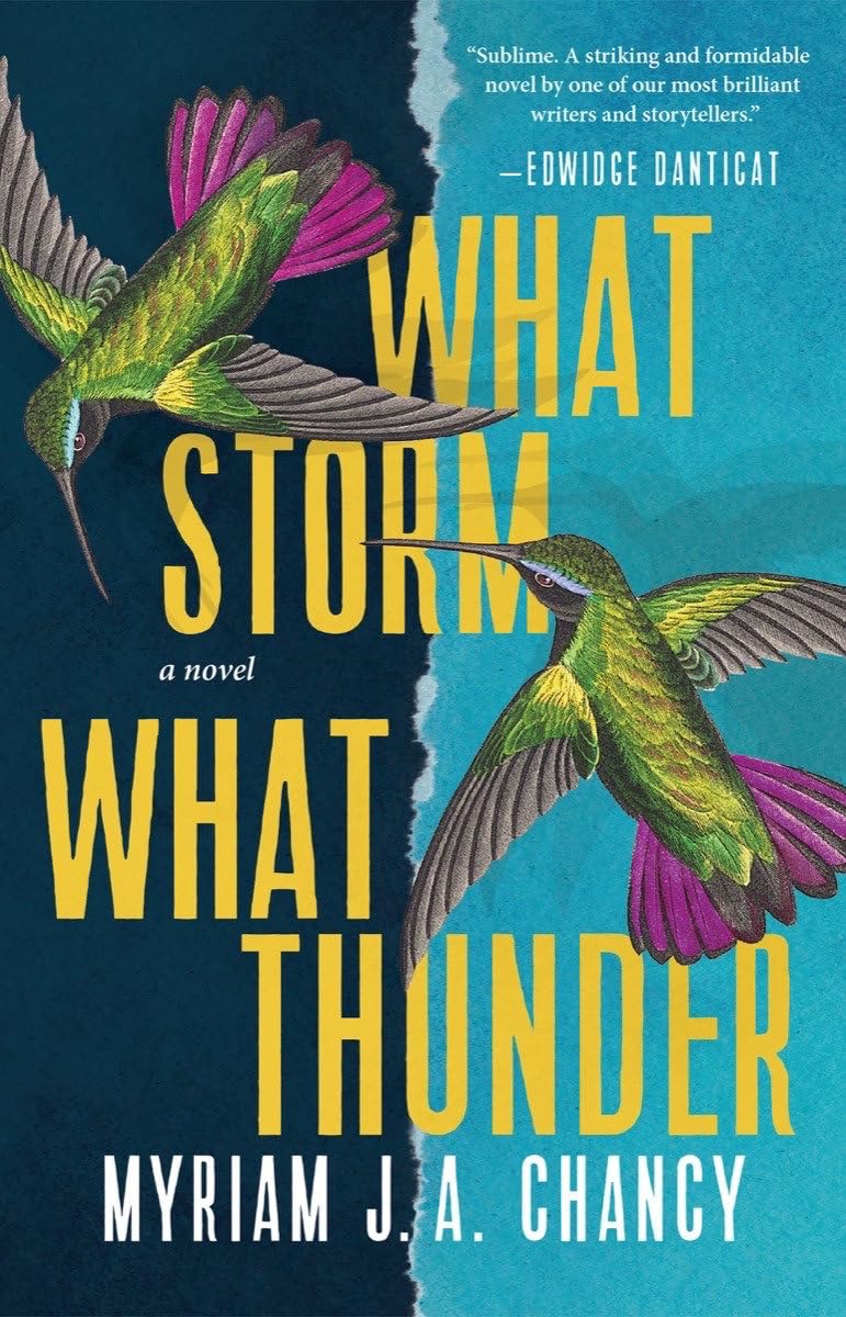 Buy What Storm, What Thunder — BookShops.in