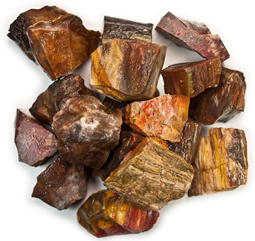Miniatura 1 de 3 piezas de piedras de madera petrificada rugosa Hypnotic Gems de Madagascar, cristales naturales crudos a granel para cabaña, corte, lapidario,