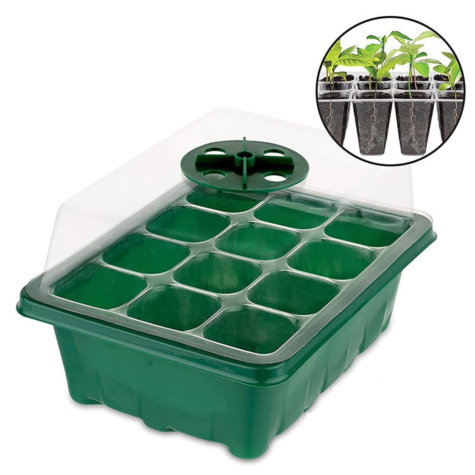 4PCS Vassoio di Germinazione, Vassoi di Avviamento per Piantine,Vassoio Coltivazione Regolabile Scatole di germinazione con Cupola di umidità, Coltivazione in Serra