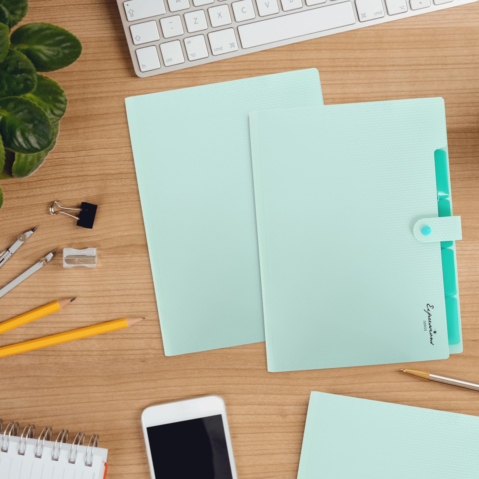 Trieur A4 à 5 Compartiments - Organiseur De Documents En Plastique Robustes Avec Étiquettes (Vert) - 2