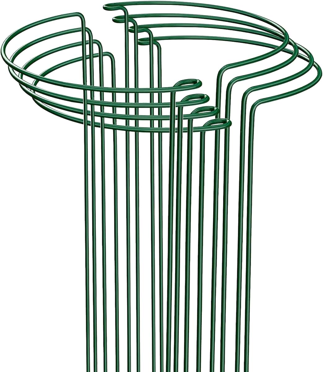 Amazon.co.uk Plant Cages & Supports Plant Cages & Supports / Garden