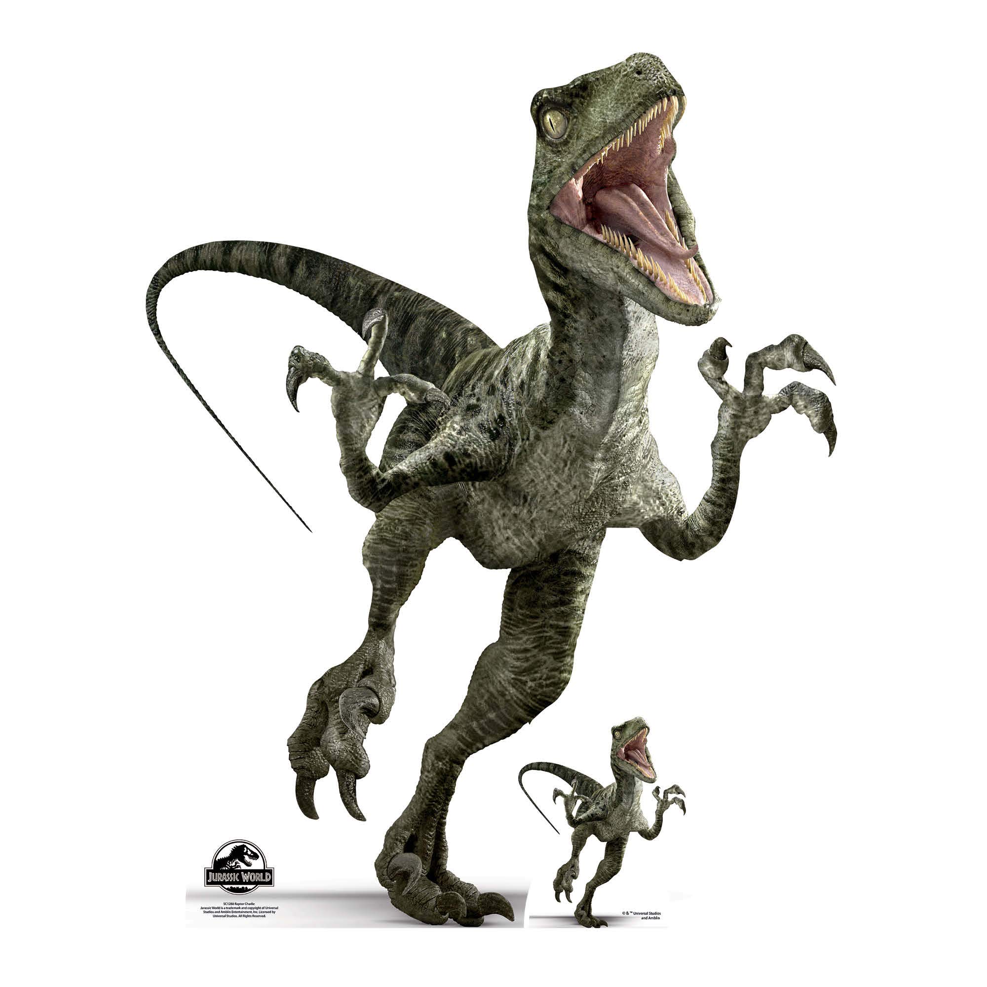 Star Cutouts SC1288 Charlie Raptor Dinosaur Cardboard Cutout – Ideal for Jurassic Park Parties, Birthdays, Fans & Events