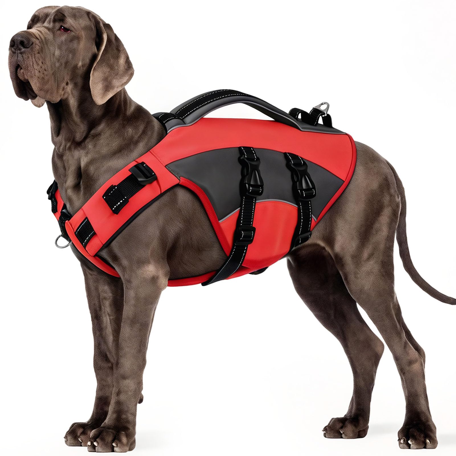 CITÉTOILE Hunde Schwimmweste mit Griff und Reflektierend, Einstellbare Rettungsweste für Kleine Mittel Große Hunde, Langlebigem für Wassersport Schwimmen und Bootfahren, Rot, XL