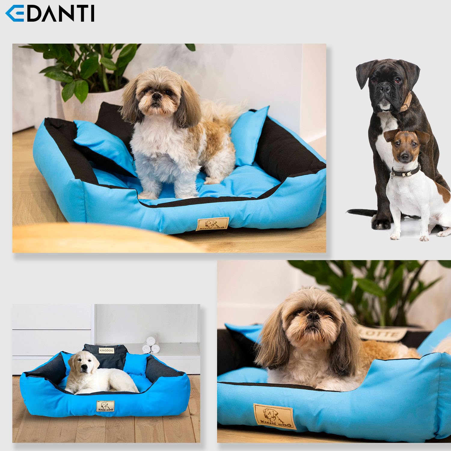 EDANTI Hondenbed, hondenkussen, kattenbed, gepersonaliseerde hondenbank met naam L - XL, voor grote, middelgrote en kleine honden (100 x 75 cm, lichtgrijs