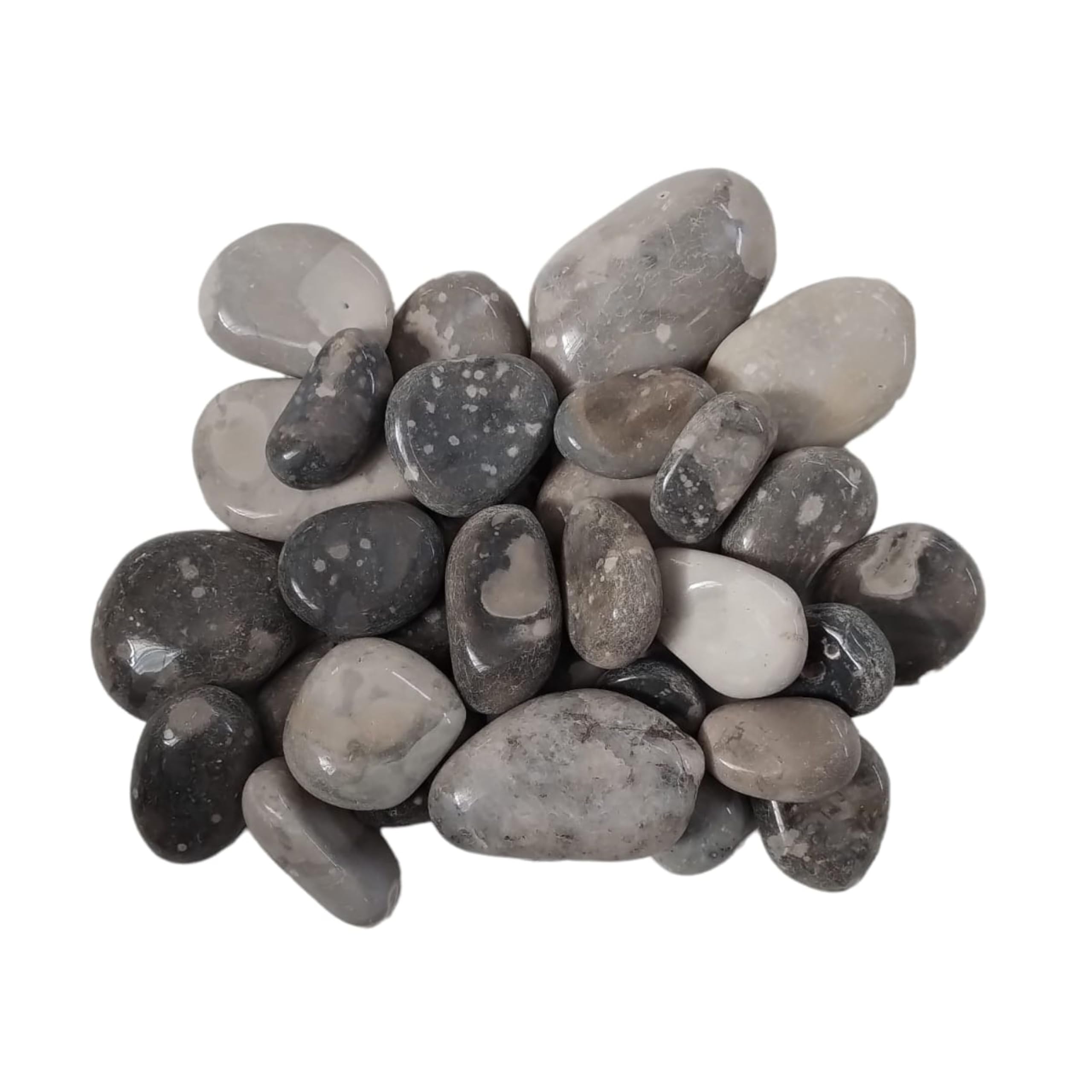 See full amazon price history chart for Foodie Puppies 1kg Natural Polished Mix Stone Pebbles for Aquarium, Plants, Terrarium, Gardens, Succulents, Vase Fillers, Outdoor Decorative Stones Bamboo Plants & Multi-Purpose Stones (Fancy Flat) Foodie Puppies 1kg Natural Polished Mix Stone Pebbles for Aquarium, Plants, Terrarium, Gardens, Succulents, Vase Fillers, Outdoor Decorative Stones Bamboo Plants & Multi-Purpose Stones (Fancy Flat) (B0C8FSY3YW) Amazon Price History, Amazon Price Tracker