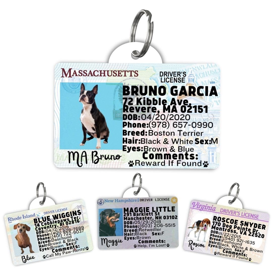 Driver License Custom Dog Tag for Pets and Wallet Card - Dog Tags for Dogs - Dog ID Tag - Personalized Dog ID Tags - Cat ID Tags - Pet ID Tags for Cats - Personalized Pet ID Tags (Massachusetts, Tag)