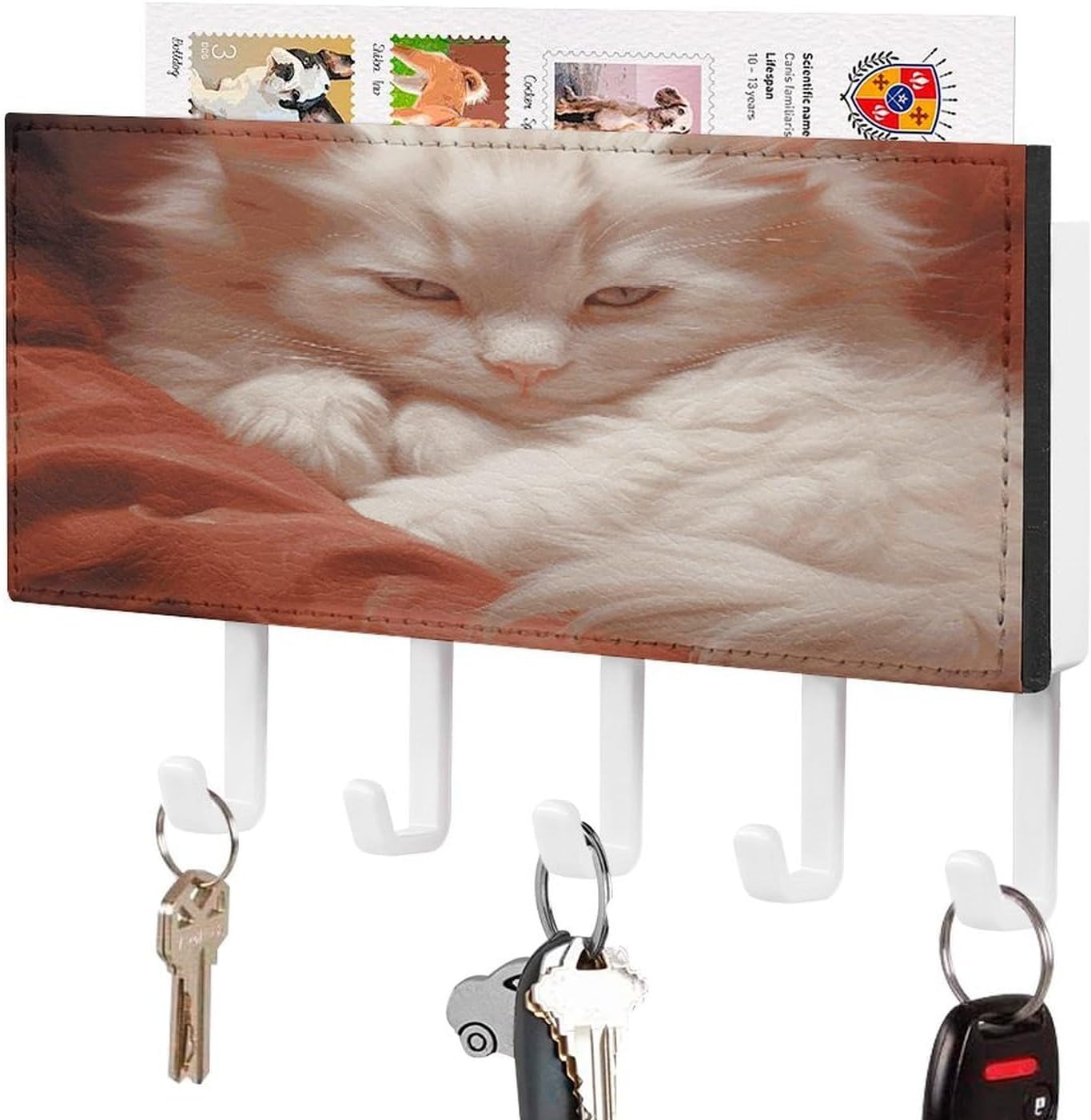 Key Holder Wall Mount Key Hanger with 5 Hooks, Decorative Key Rack | Hazy Cat Hanging Key Hooks with Mail Organizer for Wall Living Room Kitchen Bathroom Hallway