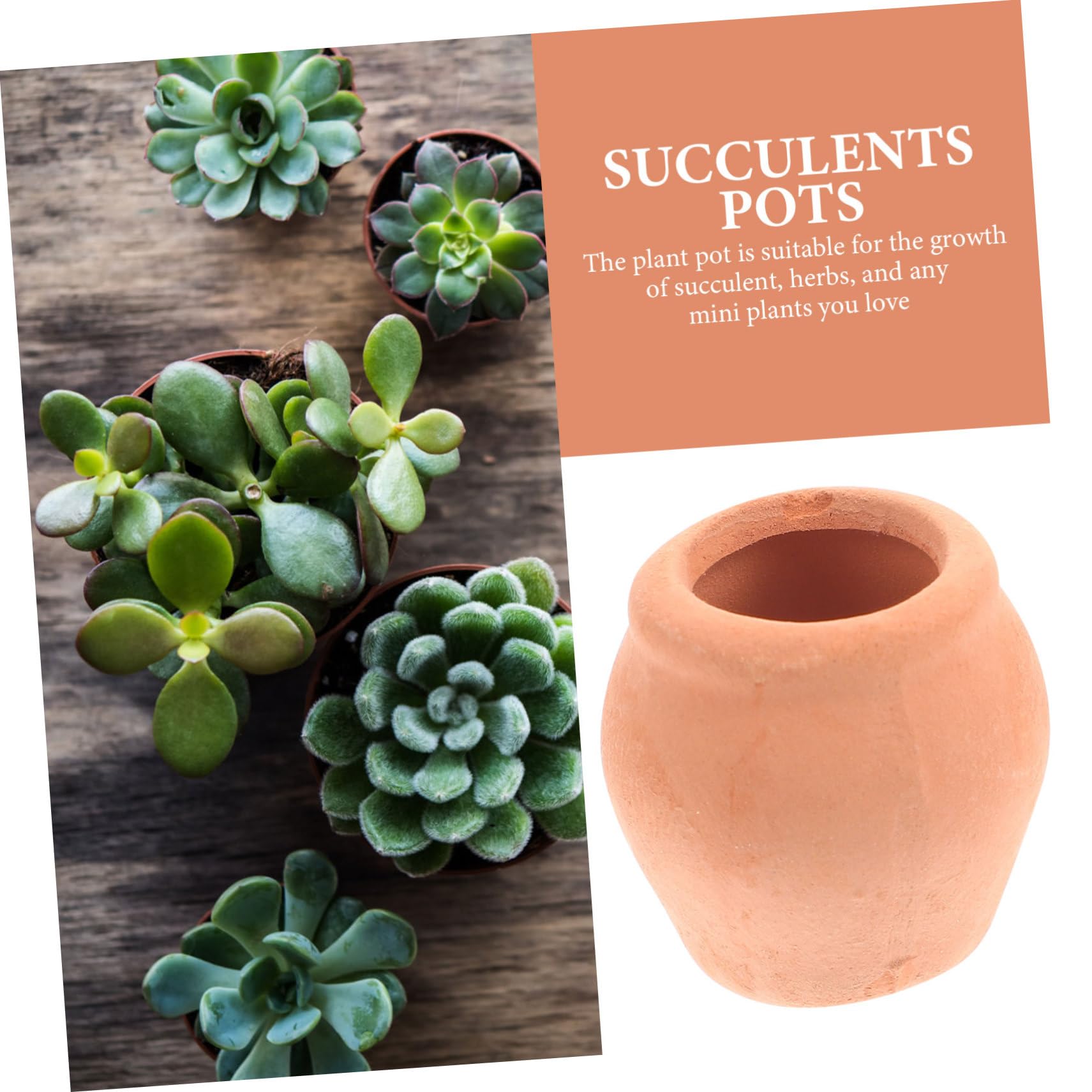 8 Mini Blumentöpfe Schwarz Für Sukkulenten - Mit Drainagelöchern