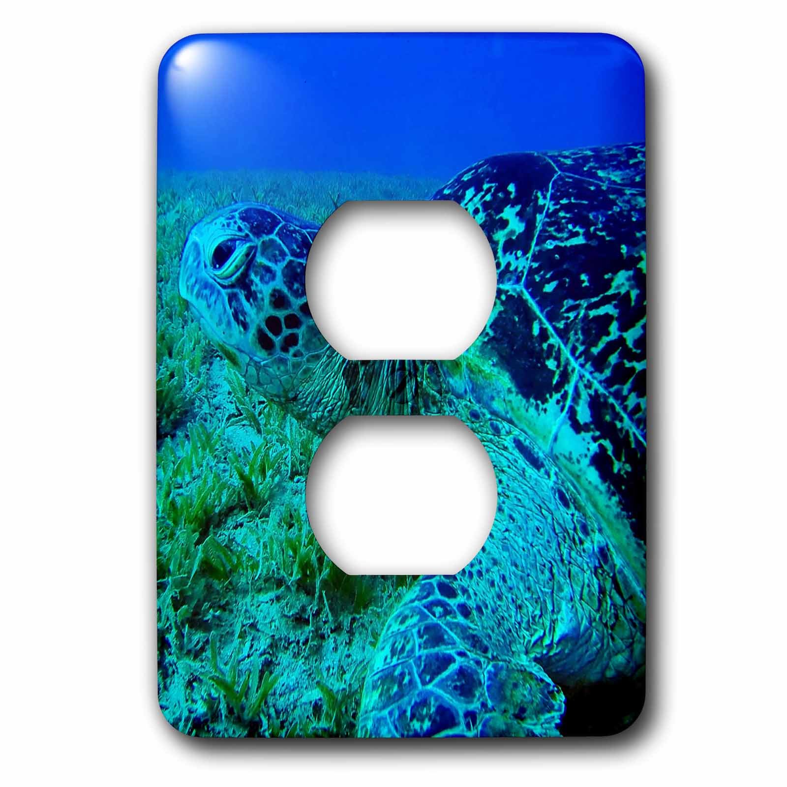 Tortue de natation plaque double prise 3dRose lsp_216457_6 decor marine