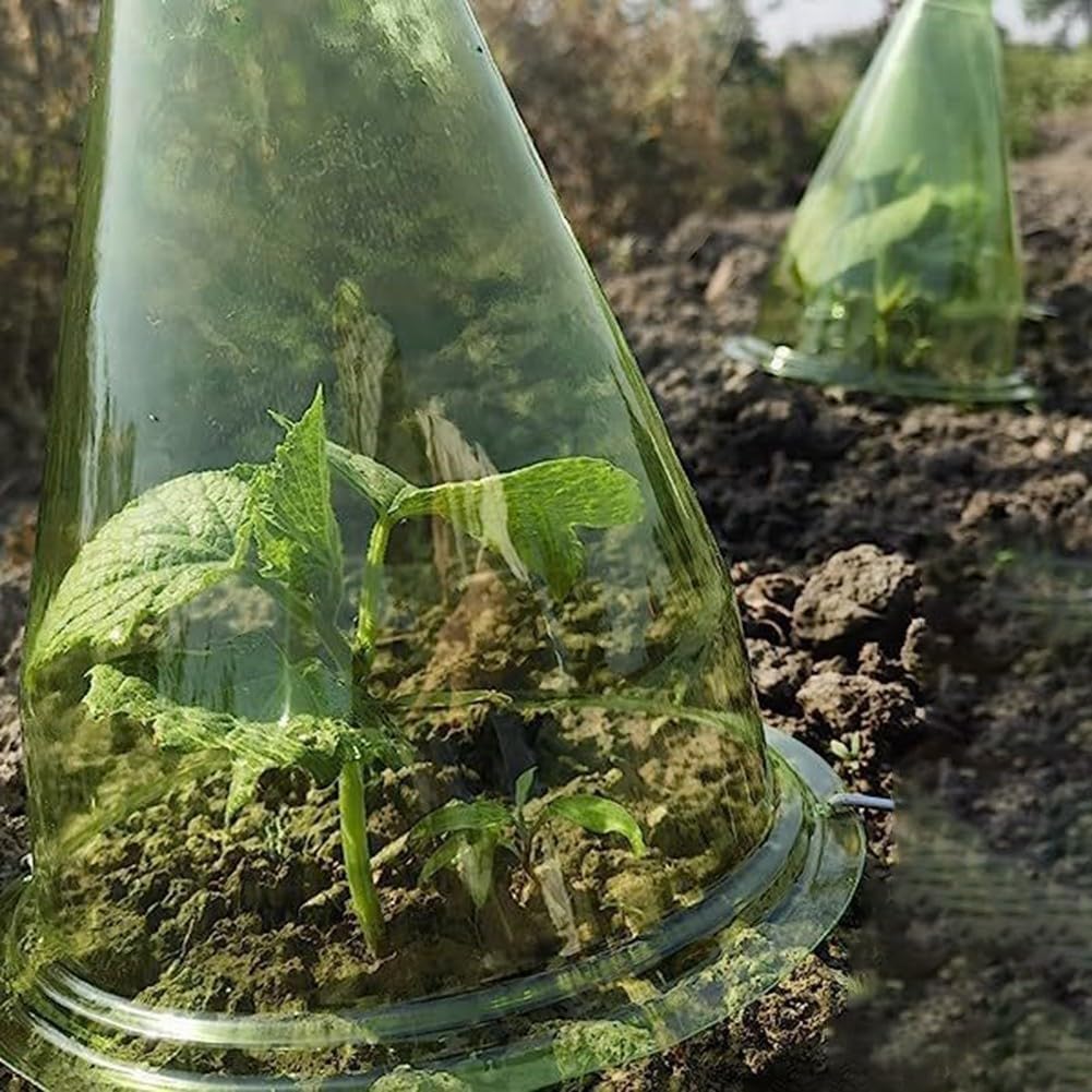 Lot de 12 cloches transparentes pour protection contre le gel, dômes de jardin réutilisables en plastique 20 x 20 x 24 cm