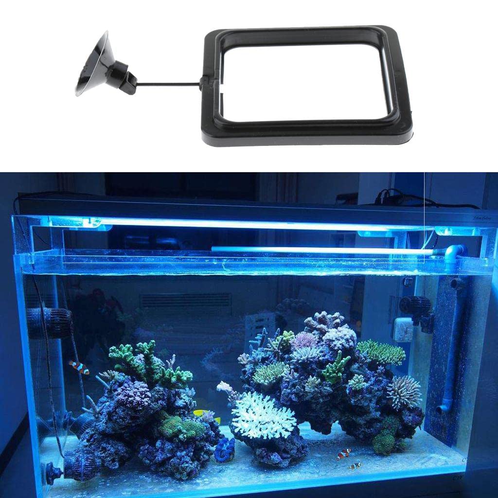 CALANDIS® Aquarium Fish Tank Fishes Feeding Flake Foods Ring Square Feeder (B0BFXC8ZY4) Amazon Price History, Amazon Price Tracker