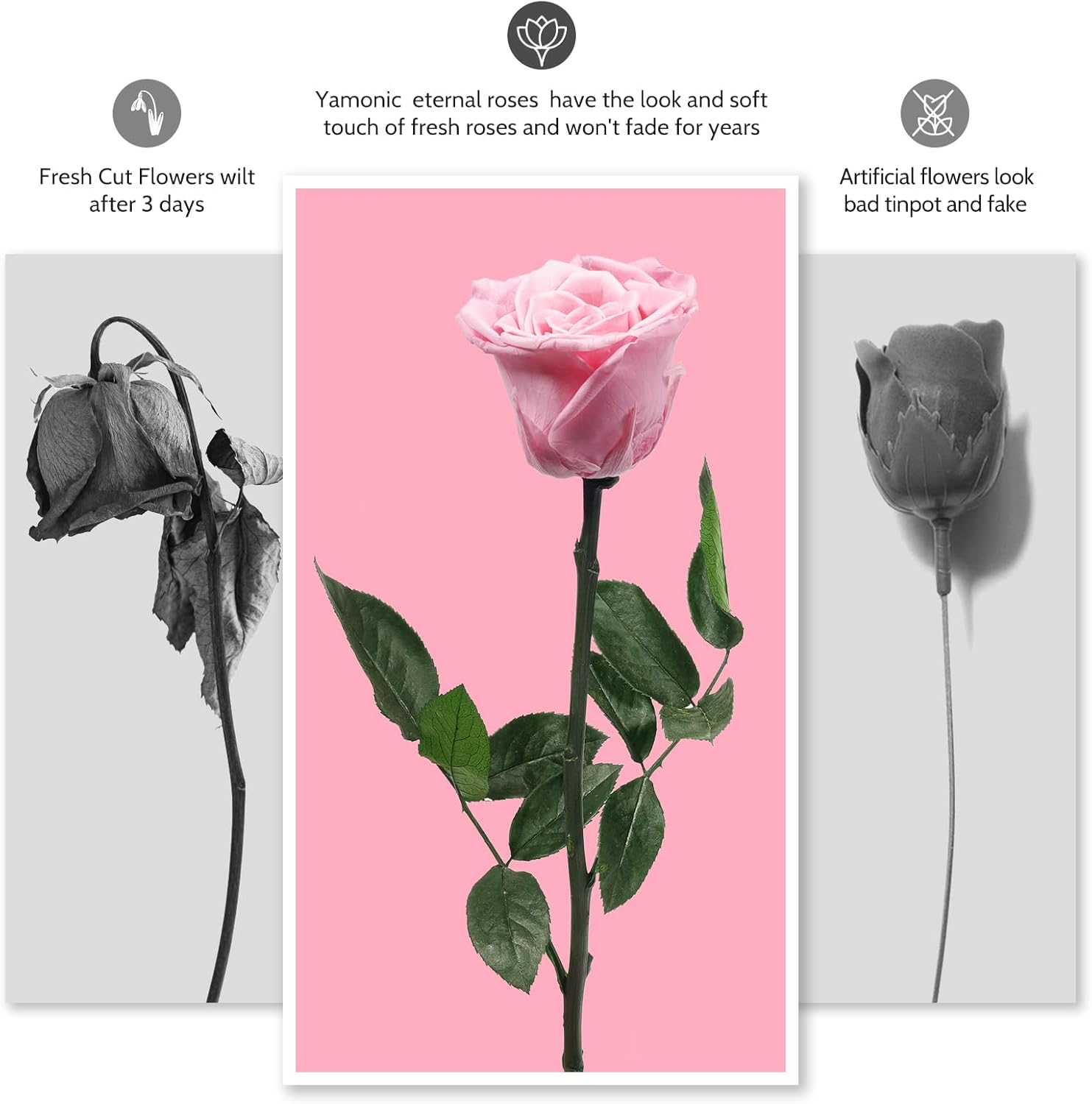 Yamonic Preserved Flowers Rose Gifts for Women Mom, Mothers Day Rose Flowers Gifts for Mom, Real Flower Birthday Mom Gifts for Grandma, Wife,Girlfriend, for Valentine's Day,Anniversary - Image 6