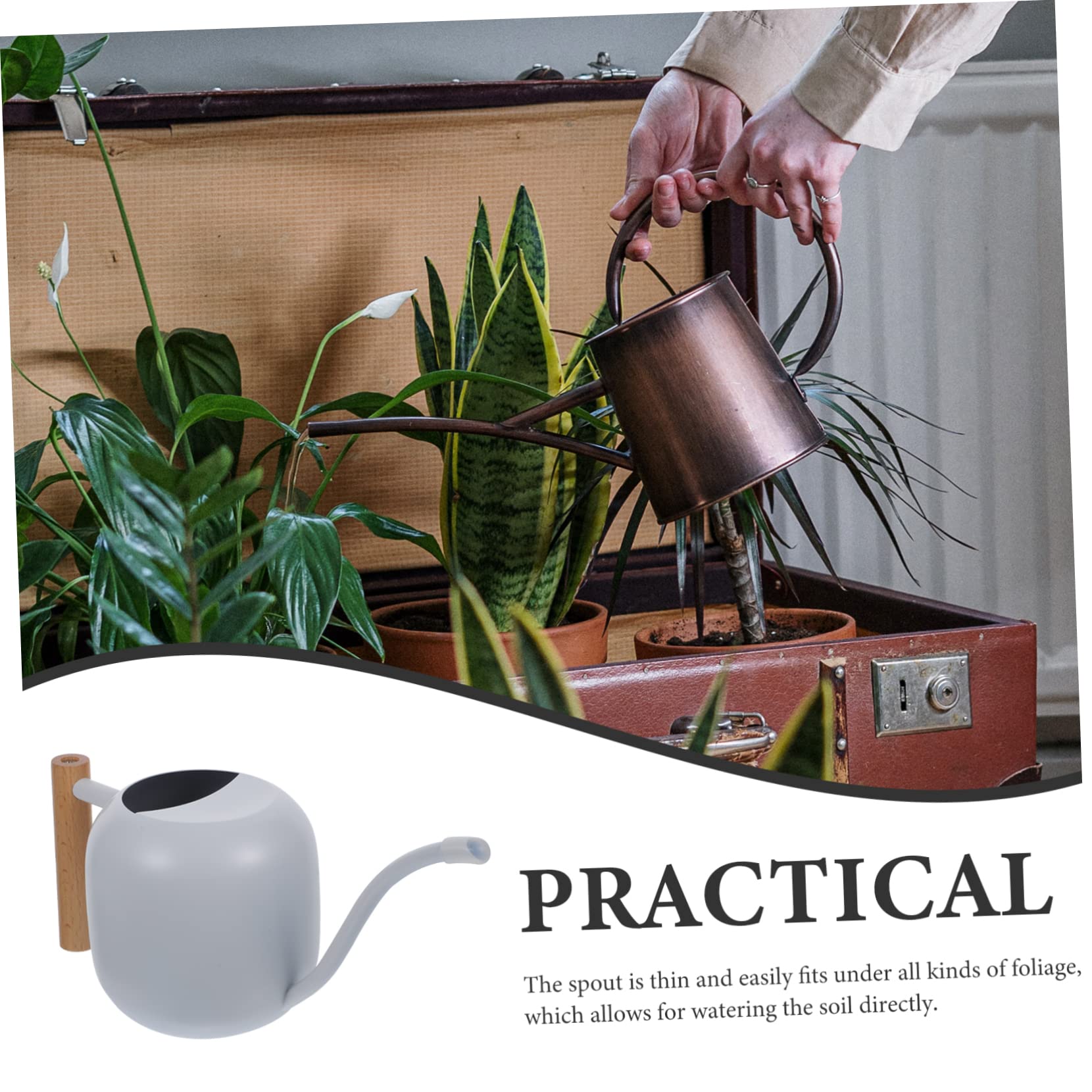 Regadera Pequeña De Largo 1.2l para Plantas Mango Ergonómico y Hervidor De Acero Inoxidable
