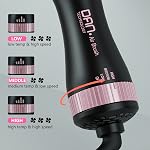 DAN Technology Brosse sèche-cheveux double tension, 110V-240V Brosse de sécheuse de voyage, 4 en 1 Brosse à sécheuse et vaporisateur de style