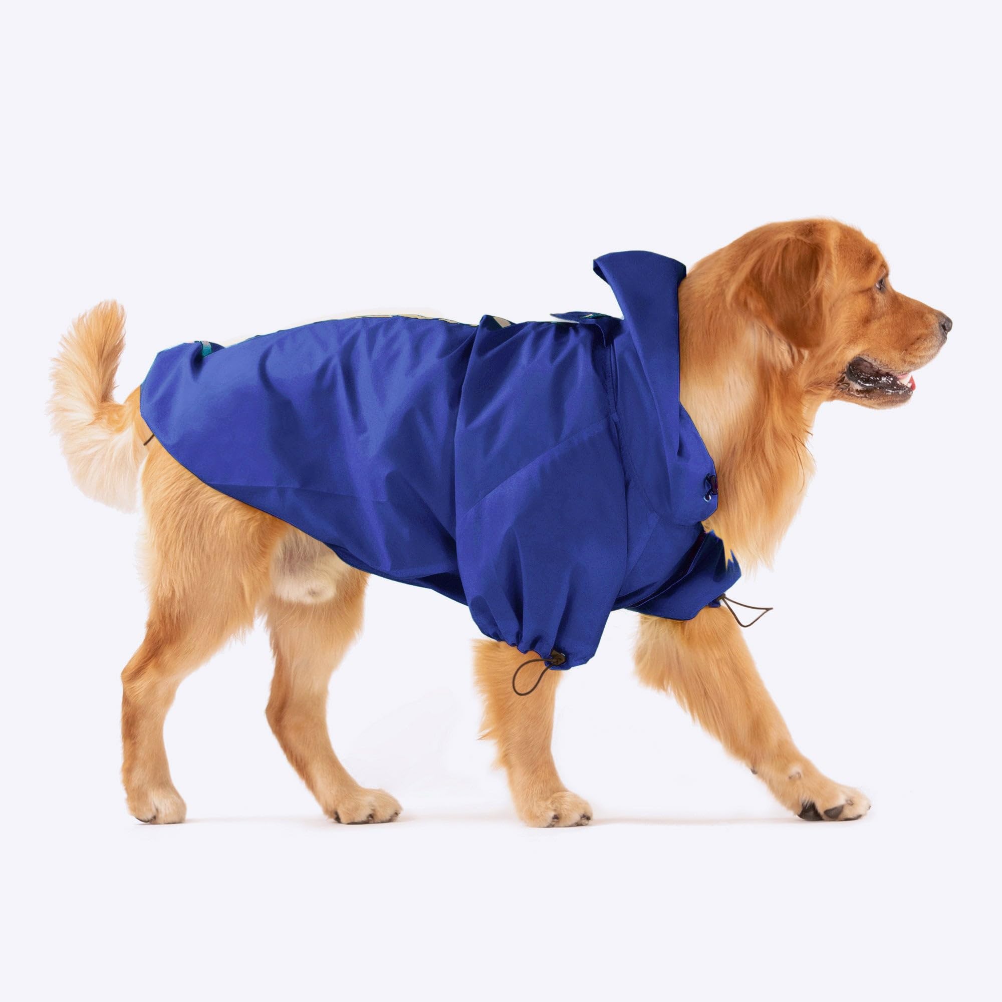 Heads Up For Tails Polyester Magical Mist Dog Raincoat - Blue (3Xl), 1 Count 4
