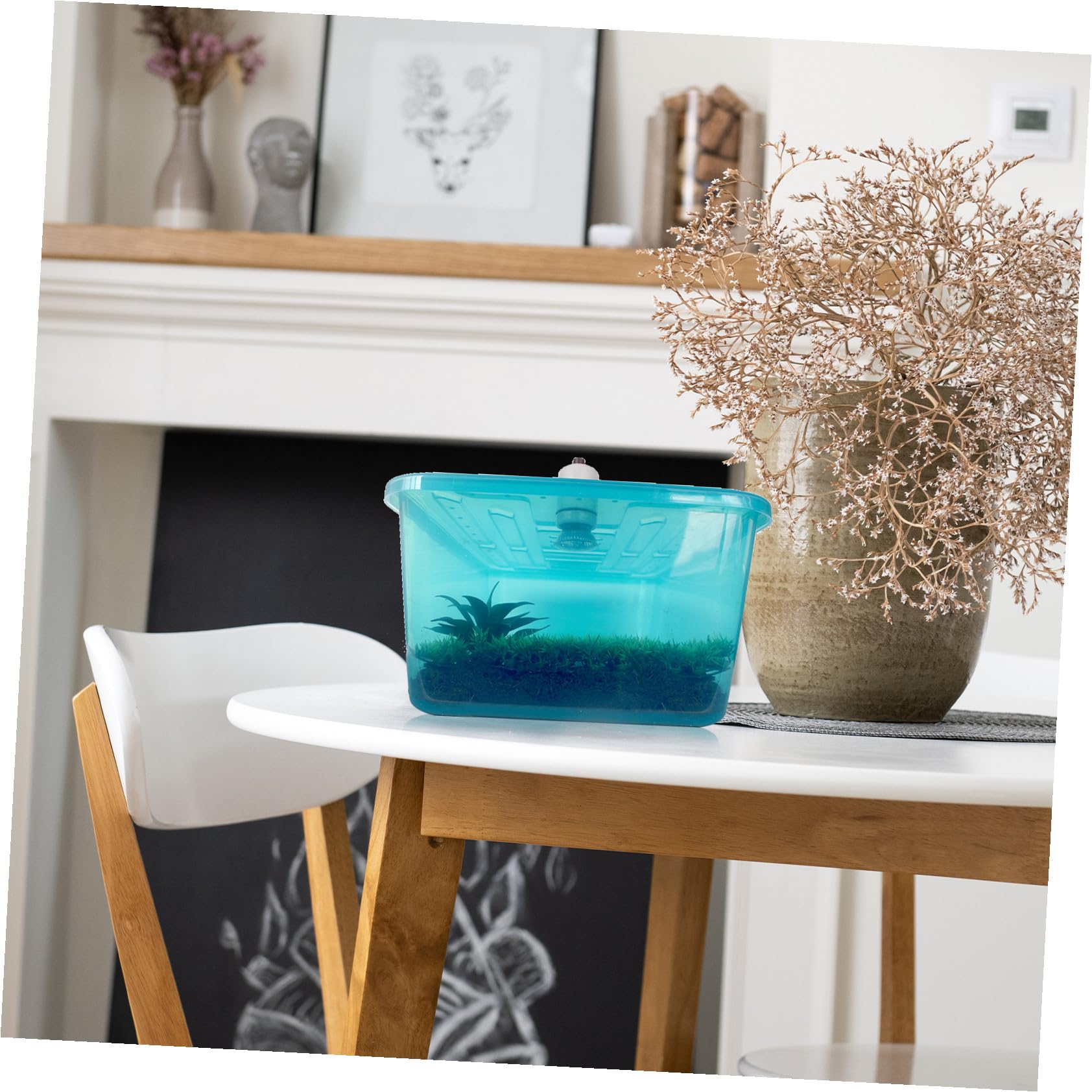 TEHAUX Terrario per Tartarughe di Terra in Plastica Blu con Pendenza Integrata e Funzione di Contenimento Acqua per Rettili Domestici