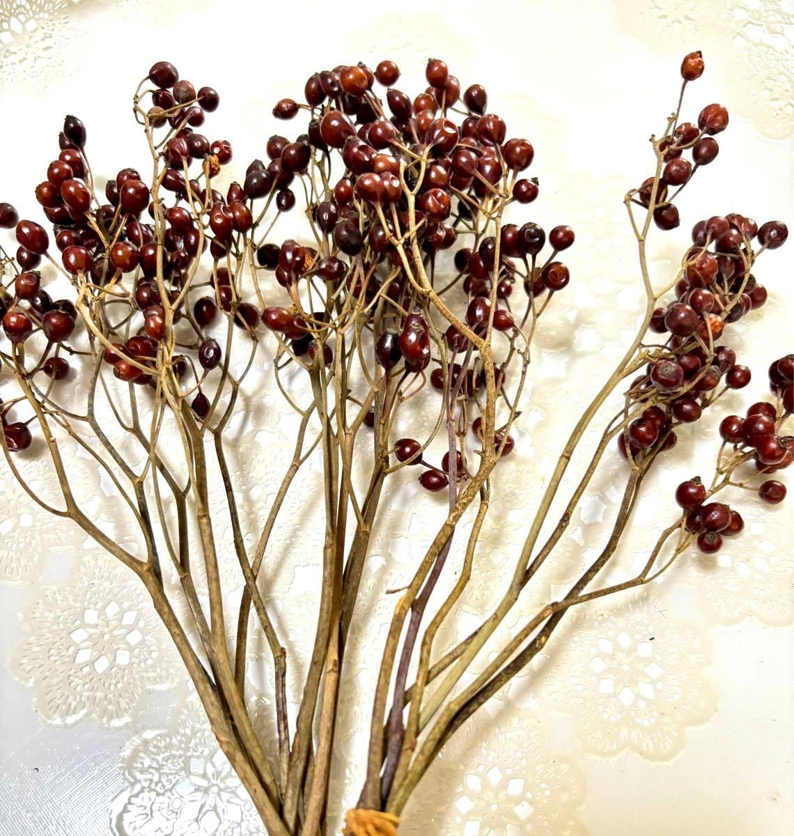 ドライフラワーハーフリースꕤ.·*.秋・木の実✽ローズヒップ゜・*:.。❁ wreathe.リース 野ばらの実. 色づきはじめた野ばらの実の赤と橙