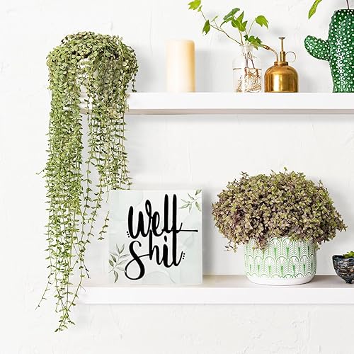 Miniatura 6 de Funny Well - Letrero de madera con tema rústico de baño, caja de madera, arte para el hogar, baño, estante de escritorio, decoración de 5 x 5