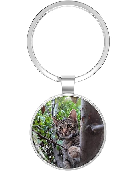Black cat on the tree Key Chain Double Sided Stainless Steel Keychain