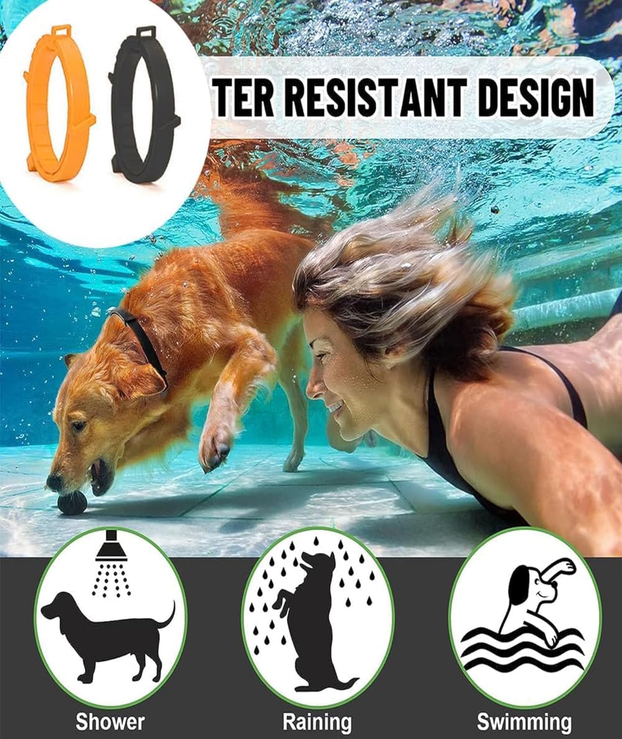 Dog Flea & Tick Collar for Dogs Adjustable Collar with Flea and Tick Protection, Durable Waterproof for Daily Pet Care Outdoor Dog Puppy Kitten Cats Safe Efficiently Repell Locust Lice of Pets 2
