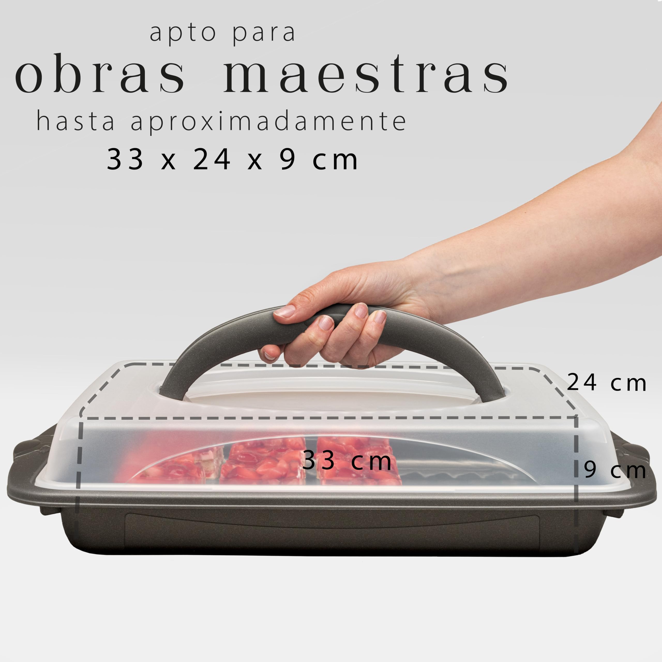 Hausfelder Caja de Transporte de Pastel Rectangular - Bandeja de Hojalata Con Tapa y Mango - 30 x 41 x 9,5 cm | Transportín grande rectangular de plástico con tapa, caja de transporte para tartas de hojalata, XXL, 30 x 44 x 9 cm