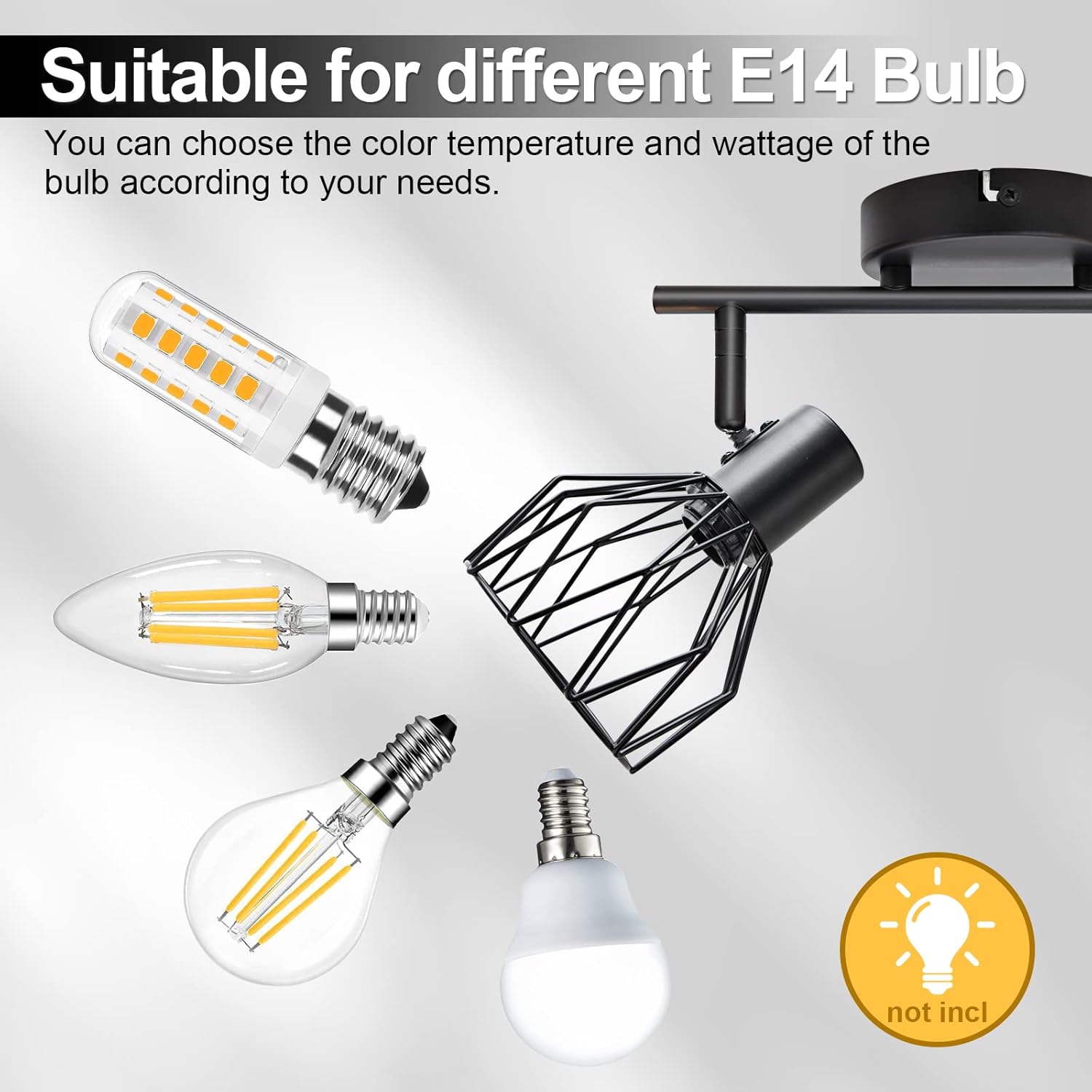 Spot, vedere completă și detalii