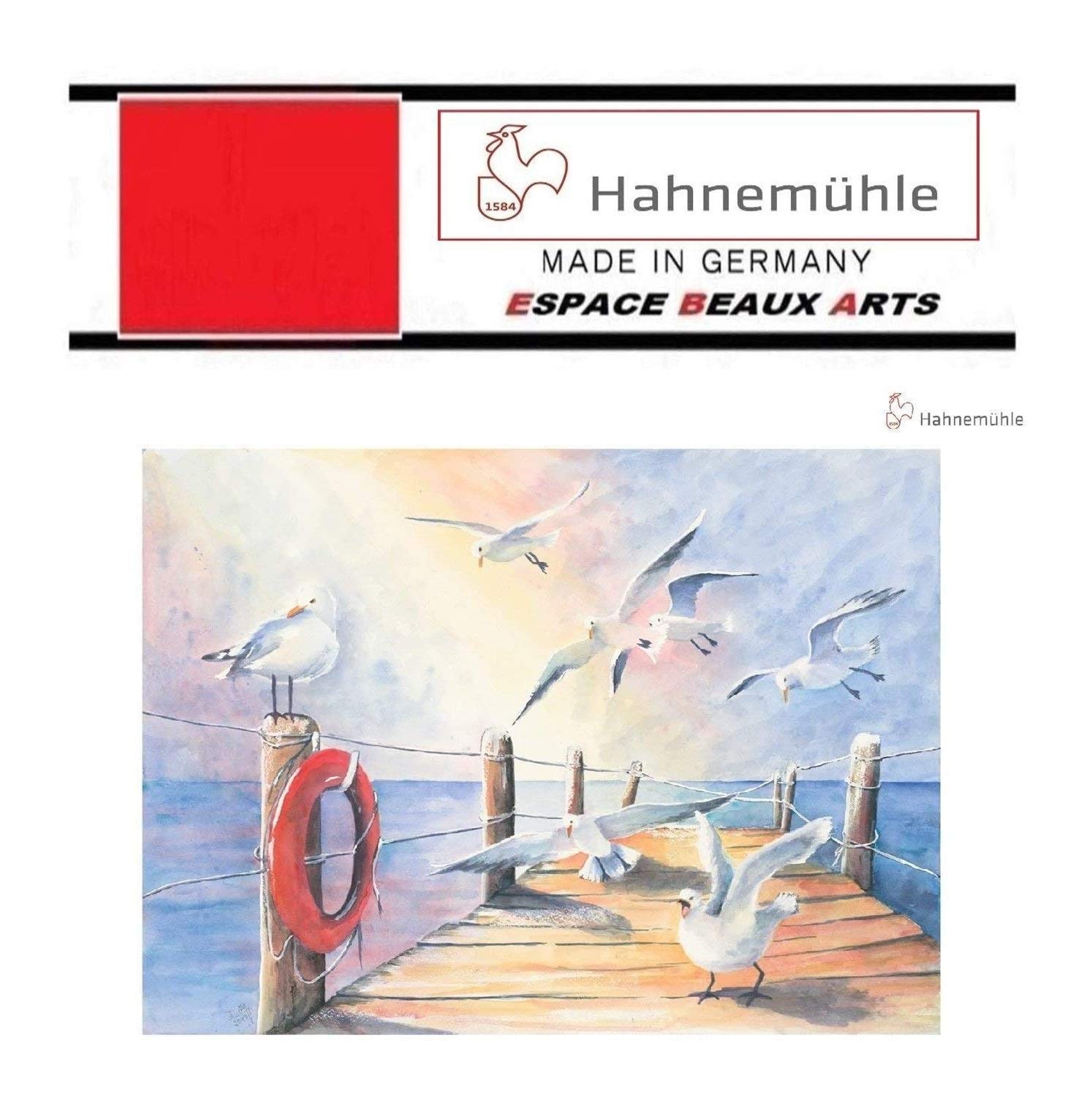 Hahnemühle - Cartone per acquerelli Expression, 100% cotone, opaco, 300 g/m2, 24 x 30 cm, 20 fogli, made in Germany