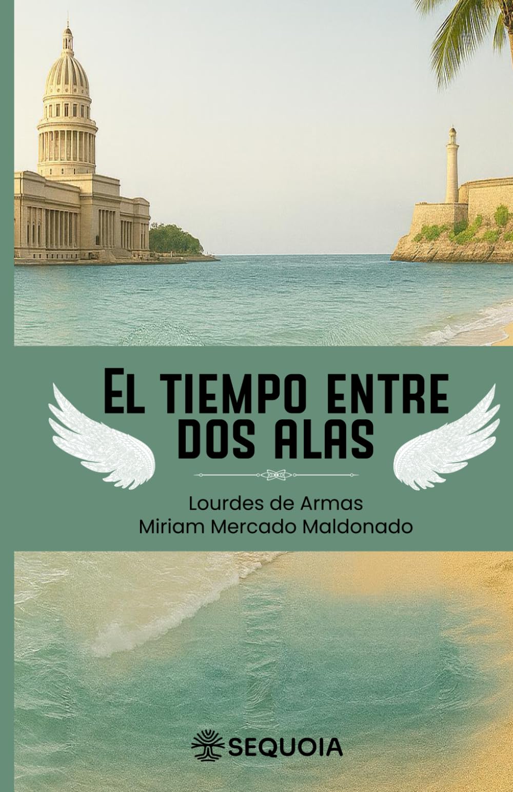 El tiempo entre dos alas