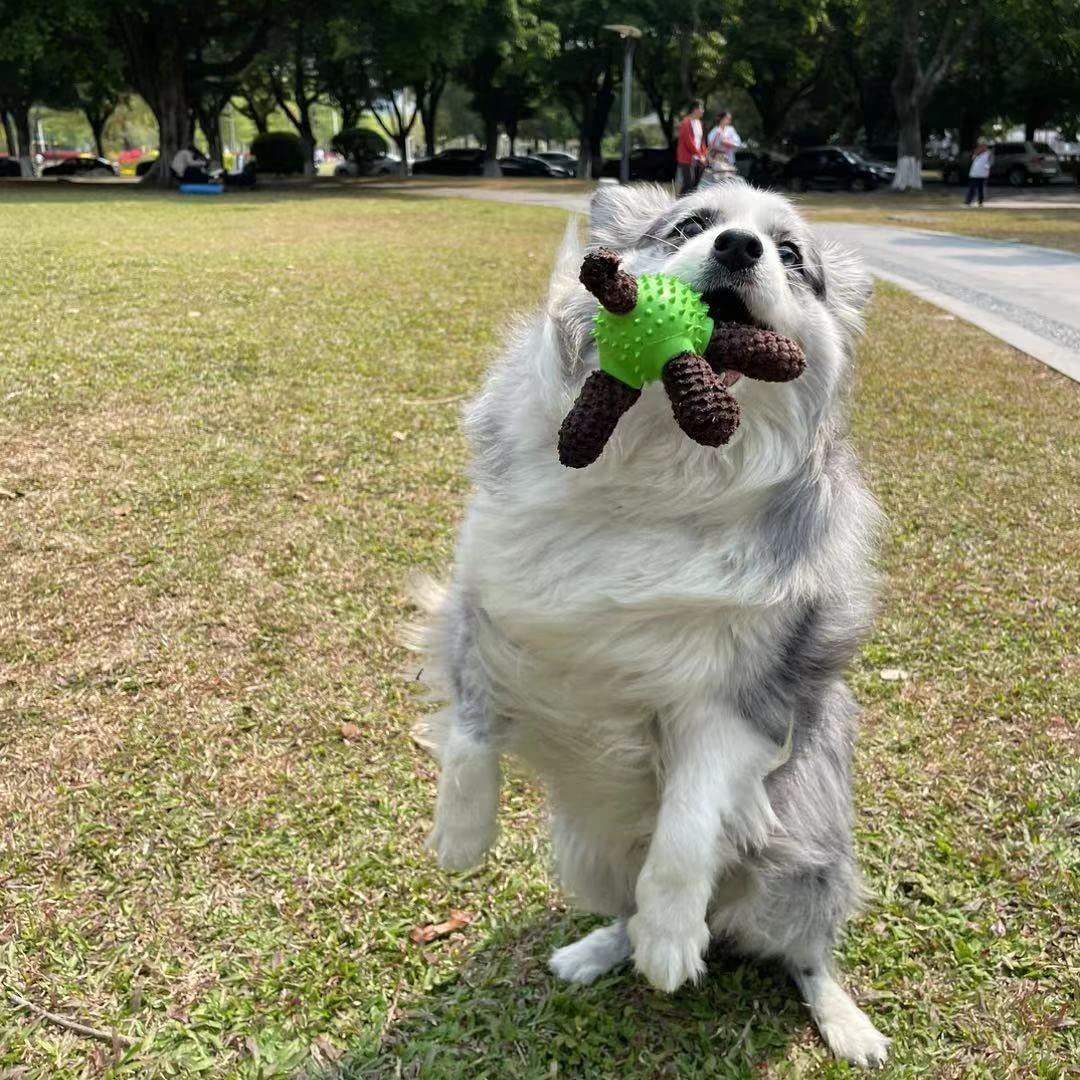Juguetes chirriantes para perros, juguetes interactivos de felpa duraderos para mascotas, juguete dispensador de alimentos, divertido juguete de goma para masticar para cachorros, perros