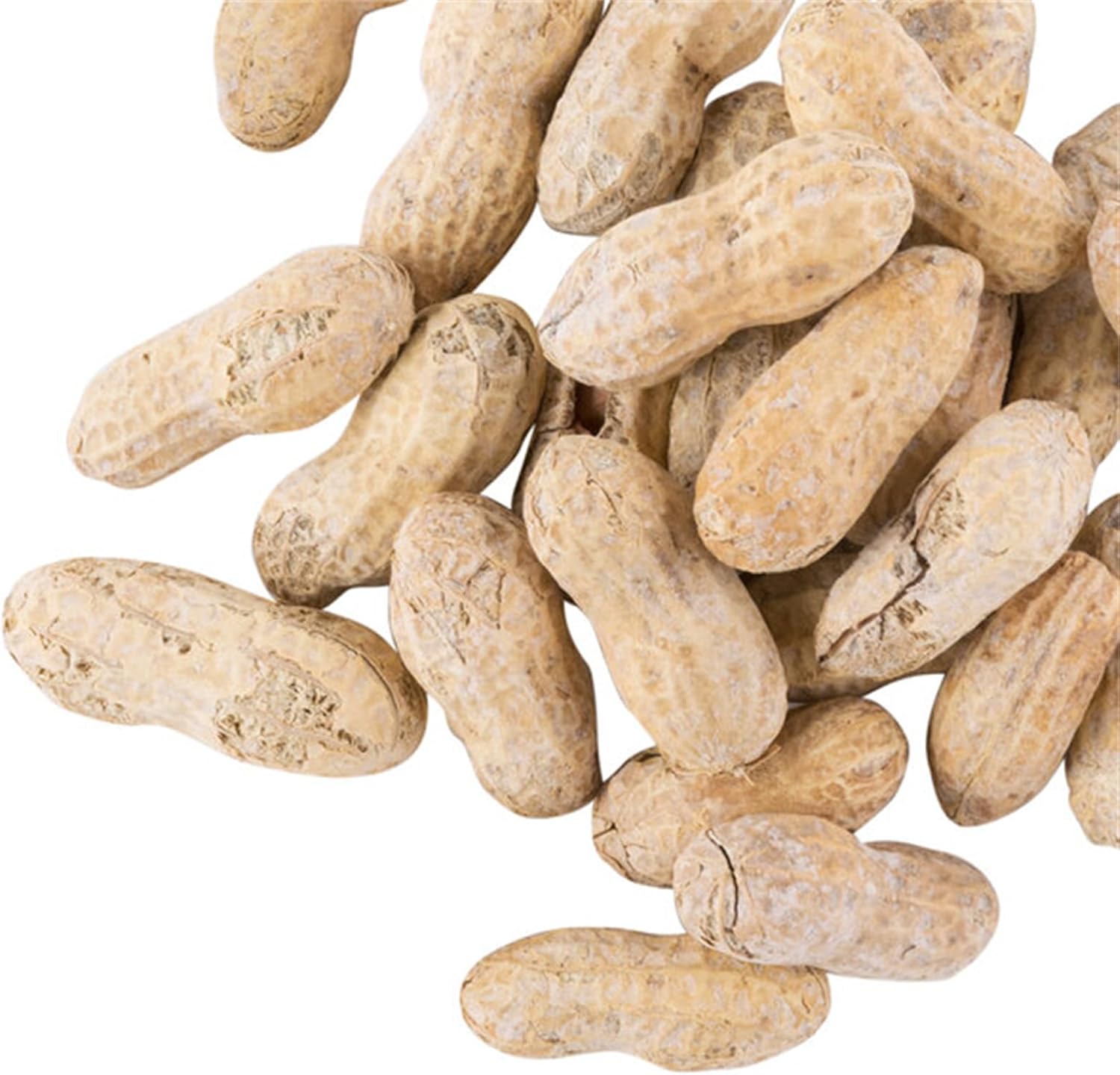 Hampton Farms Roasted Salted in-Shell Peanuts 25 lb. WS-113PNUT20130-NPF