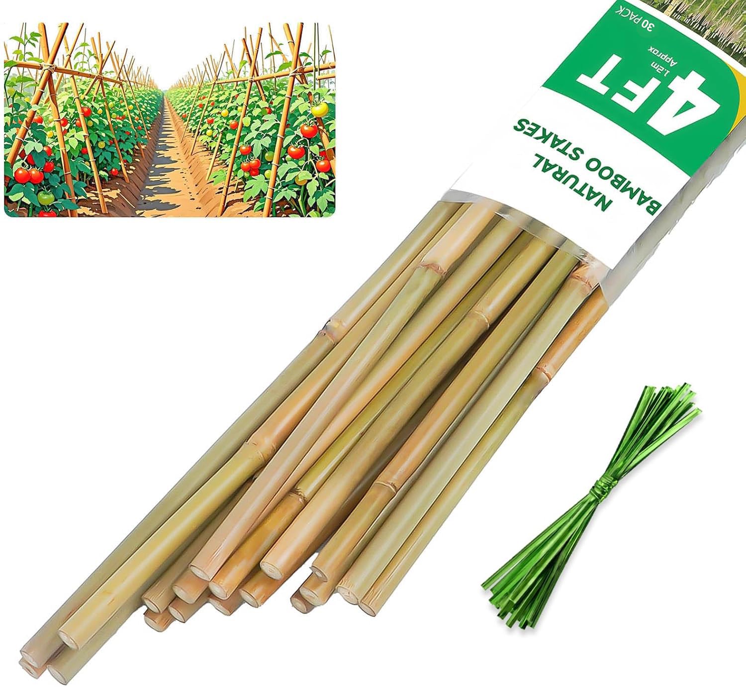 Groovboo Natural Bamboo Plant Stake 4FT
