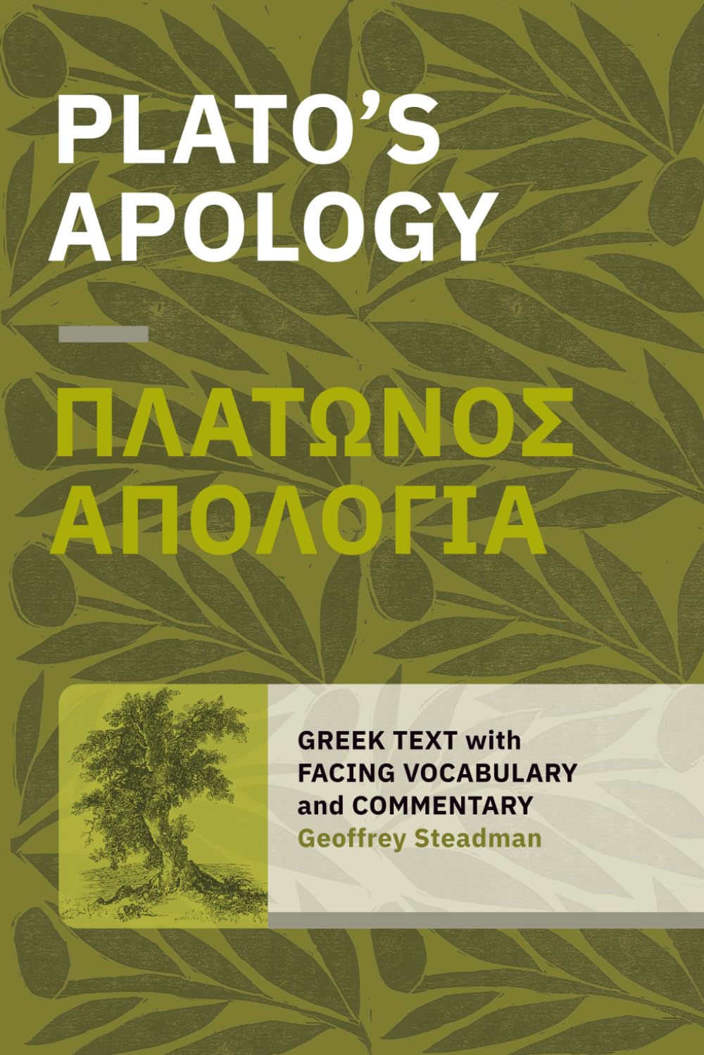 Plato's Apology: Greek Text with Facing Vocabulary and Commentary