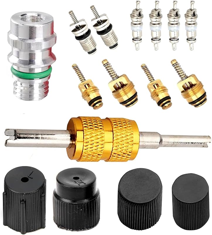 Kit de Núcleos de Válvula para Ar-Condicionado Automotivo e HVAC MLY com Vedação de Teflon – 16 peças