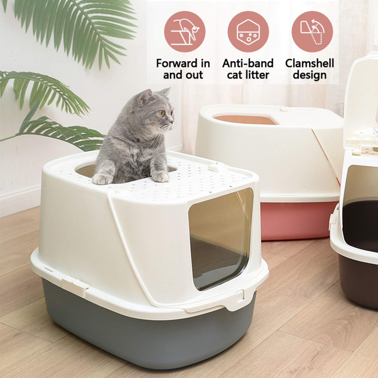 Common Reasons Why Cats Pee Outside The Litter Box, 46 OFF