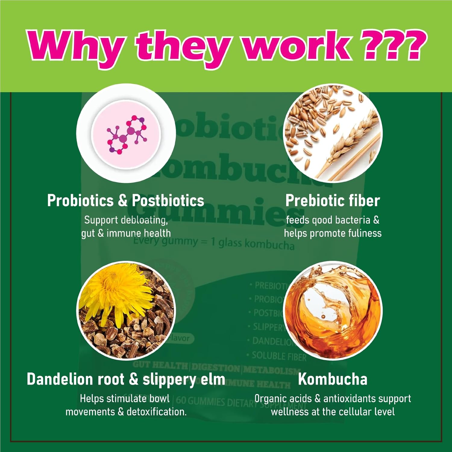 Probiotic Kombucha Gummy - Prebiotics + Probiotics + Postbiotics | Contains MCT Oil, elm bark, Dandelion Root, and Fiber | Promotes Gut Health | 60 Capsules - Image 4