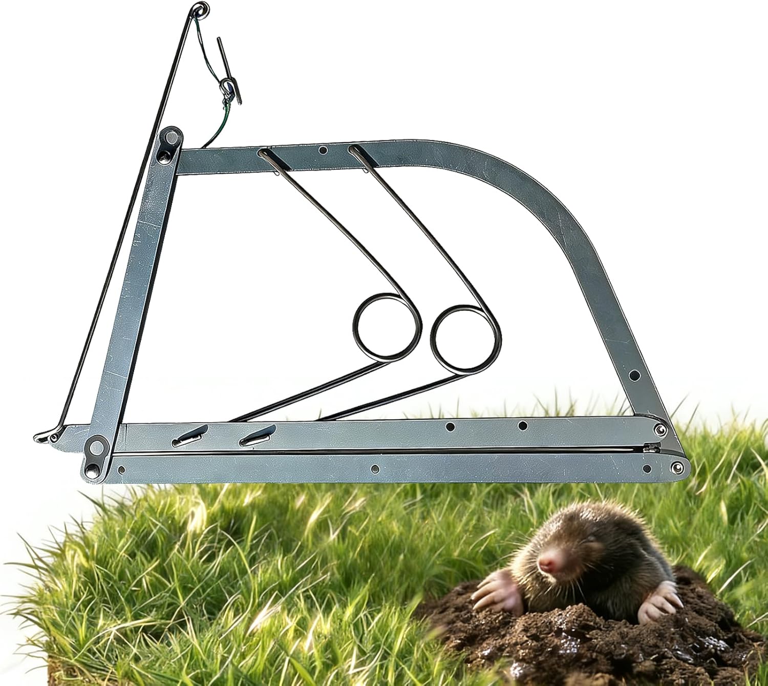 Reusable Outdoor Chipmunk Spring Trap - for Meadow, Woods, Orchard, Gardens & All Outdoor Spaces (1, M-6IN)