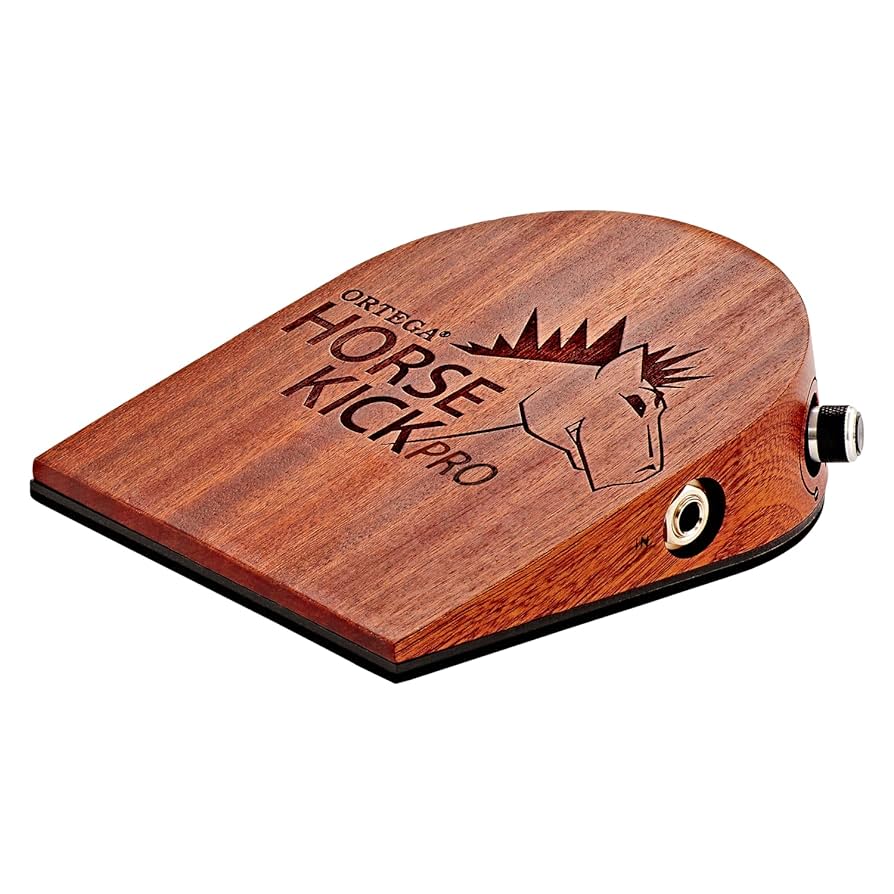 パーカッション・打楽器 ORTEGA HORSE KICK PRO Amazon.com: Ortega Guitars Digital Singer-Songwriter