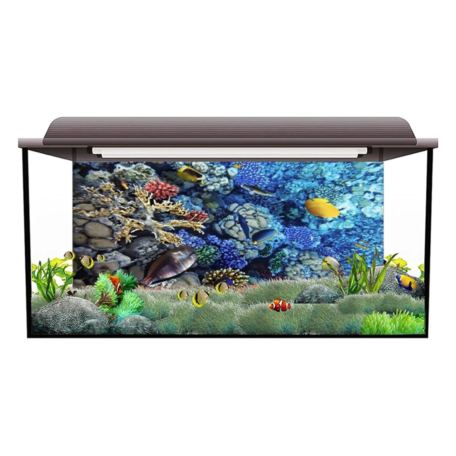 Immagine Di Sfondo Per Acquario Adesivo for sfondo acquario Poster di corallo sottomarino Decorazione for acquario Carta da parati autoadesiva Sfondo 3d Per La Decorazione Di Acquari(50x100cm)