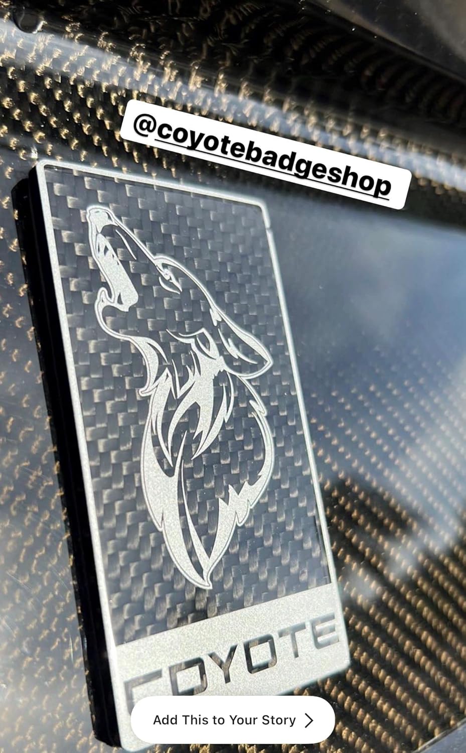 MF Auto Designs - for Mustang GT - Carbon Fiber Howling Coyote Badge - Black - GT350 Style, (CF-GT350-COY-R)