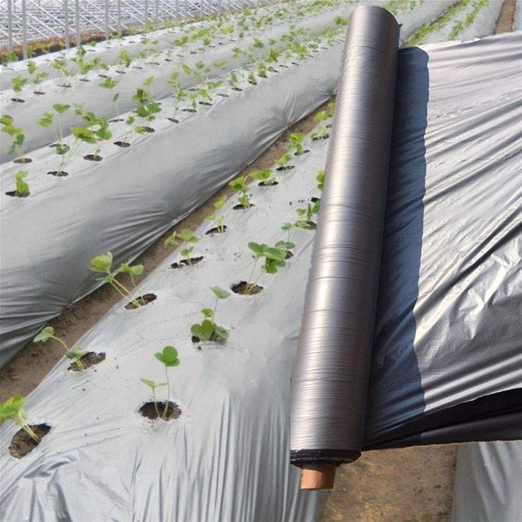 Película de plástico para invernadero, huerto, árbol frutal, plateado, negro, para control de malezas, 50 m