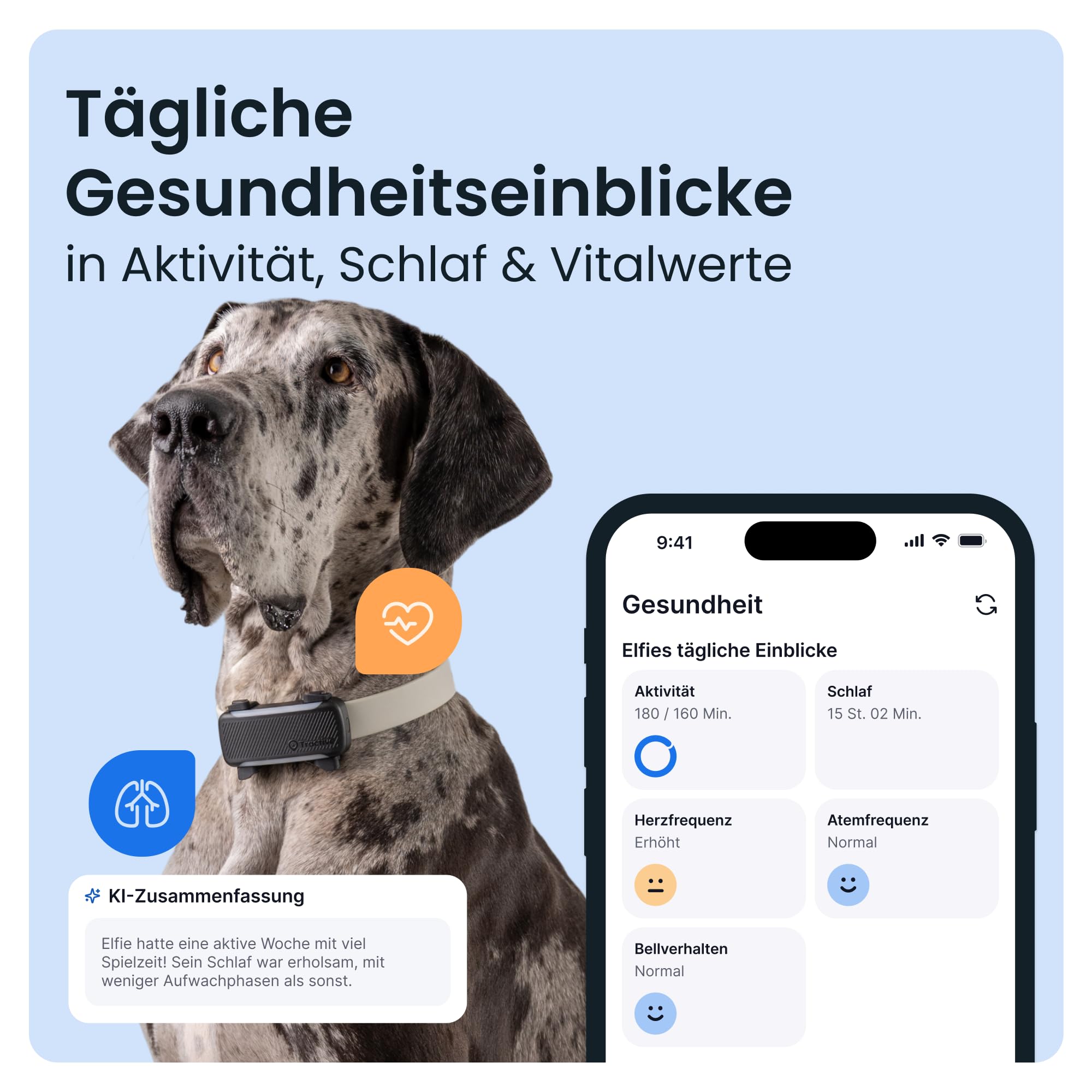 Tractive XL Smarter Hunde GPS Tracker | Modell 2026 | Live-GPS-Ortung | Weglaufalarm & Gesundheitswarnungen | Überwachung der Vitalwerte | Lange Akkulaufzeit | Empfohlen von Martin Rütter (Schwarz)