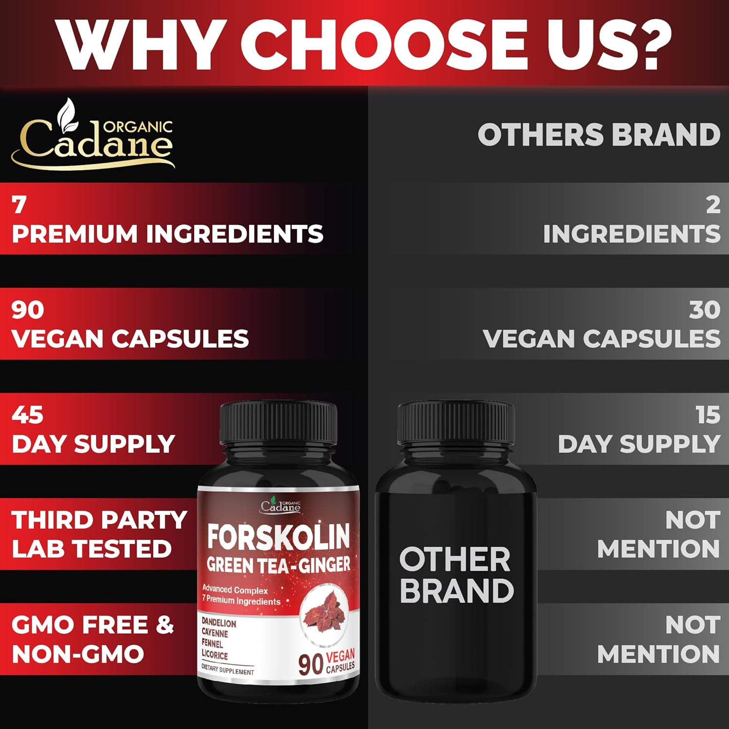 Cadane Forskolin Supplement with Green Tea, Ginger, Dandelion, Cayenne, Fennel, and Licorice| Body Management & Energy Support | Vegan, Non-GMO – 90 Capsules – 45-Day Supply - Image 5