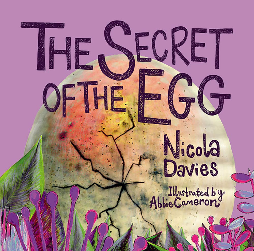 Secret of the Egg, The by Nicola Davies HARDBACK 9781912213672