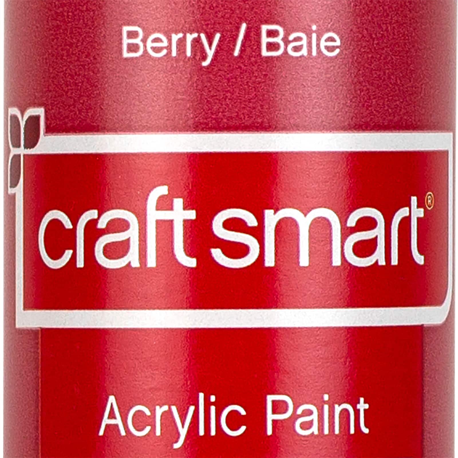 Craft Smart 2oz. Berry‎ Acrylic Paint - Non-Toxic Paint for Drawing, Painting, Art & Crafts Supplies - Bulk 12 Pack