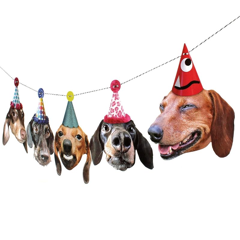 dachshund paper plates