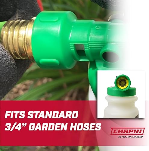 Miniatura 3 de Chapin