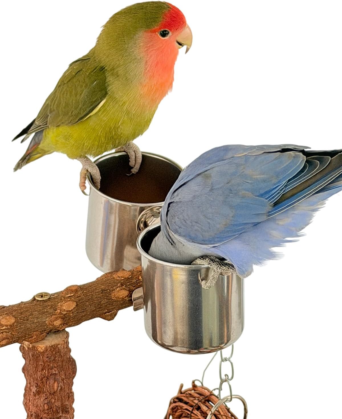Bird Playground, Natural Wood Bird Play Stand with Stand Perch, Swing, Toy, Two Food Cups, and Removable Tray, Suitable for Lovebirds, Cockatiels, Budgies, Parakeets, and Other Birds