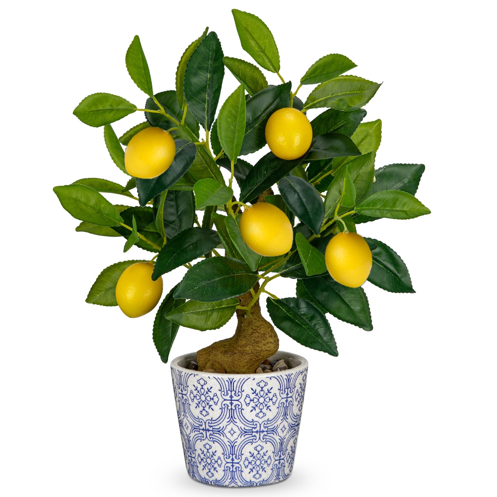 zimmerpflanze pothos Golden Pothos Epipremnum aureum main image 0